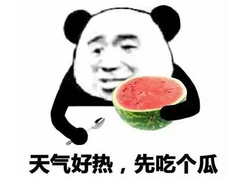 吃瓜鹅日常爆料是真的吗,真相还是谣言？